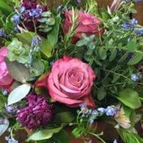 Sage - Image 2