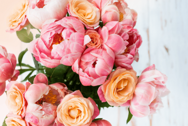 Bouquet of different coloured peonies