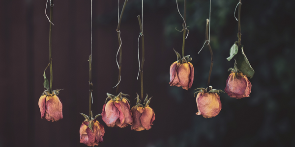 Hanging dried flowers