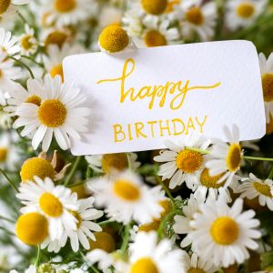 Daisy flowers with a happy birthday sign