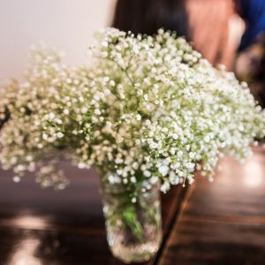 Baby's breath flowers