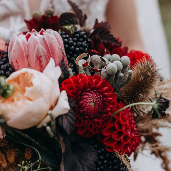 Red and black flowers