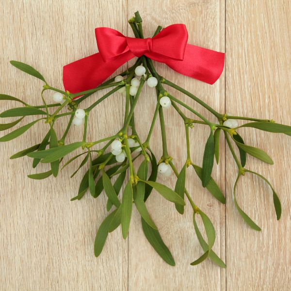 Mistletoe with a red bow