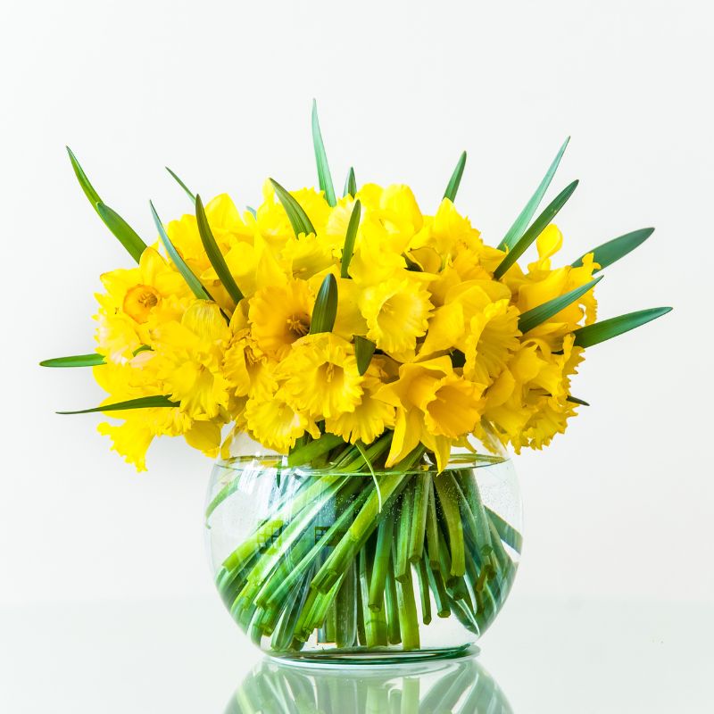 daffodils bouquet in glass vase