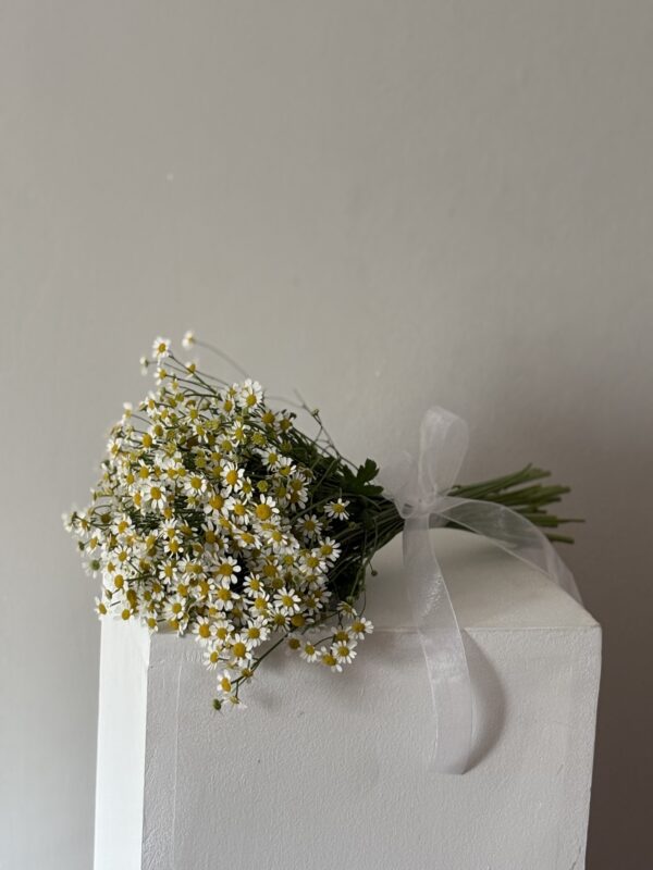 Daisy - Bridal Bouquet - Image 2
