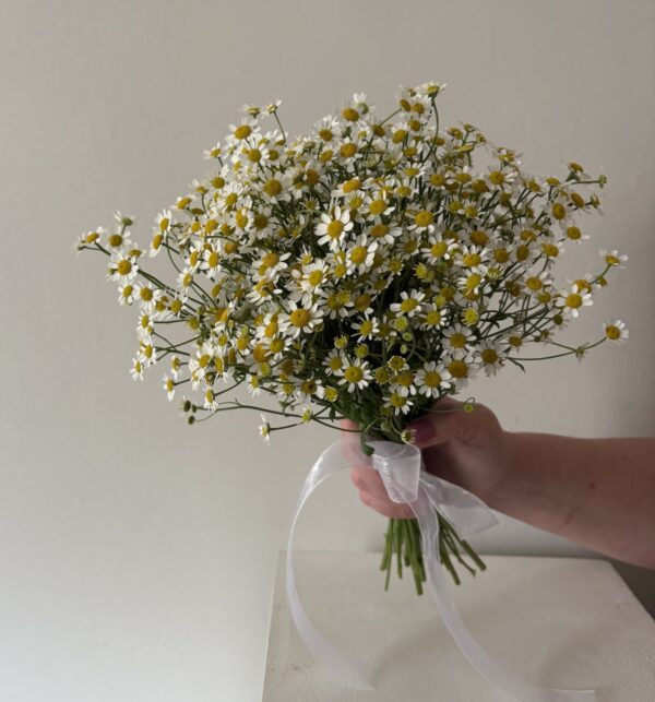 Daisy - Bridal Bouquet