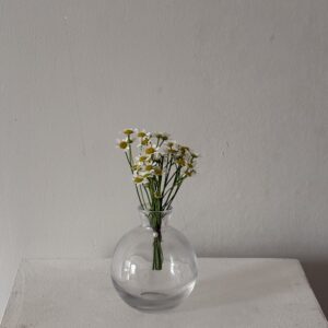 Daisy - Button Hole