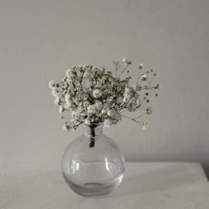 Gypsophila - Button Hole