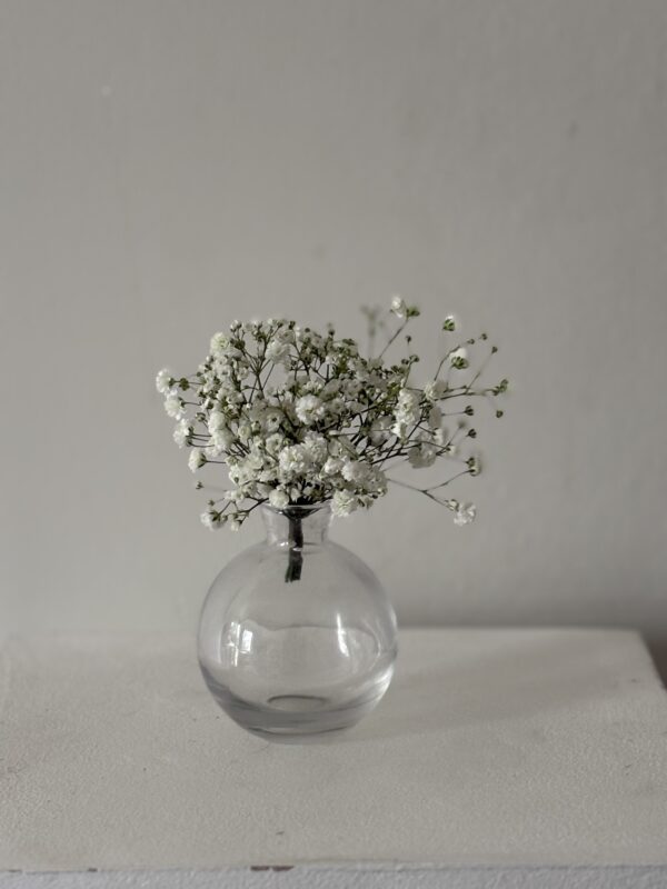Gypsophila - Button Hole