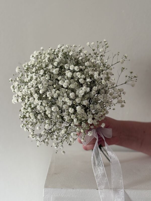 Gypsophila - Bridal Bouqet