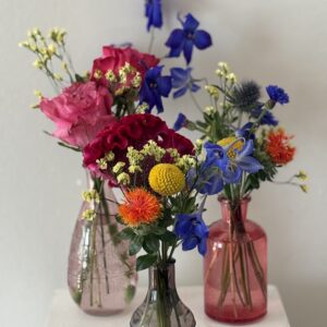 Vibrant and Funky - Bud Vases