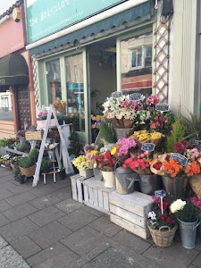The Brighton Flower Company place picture